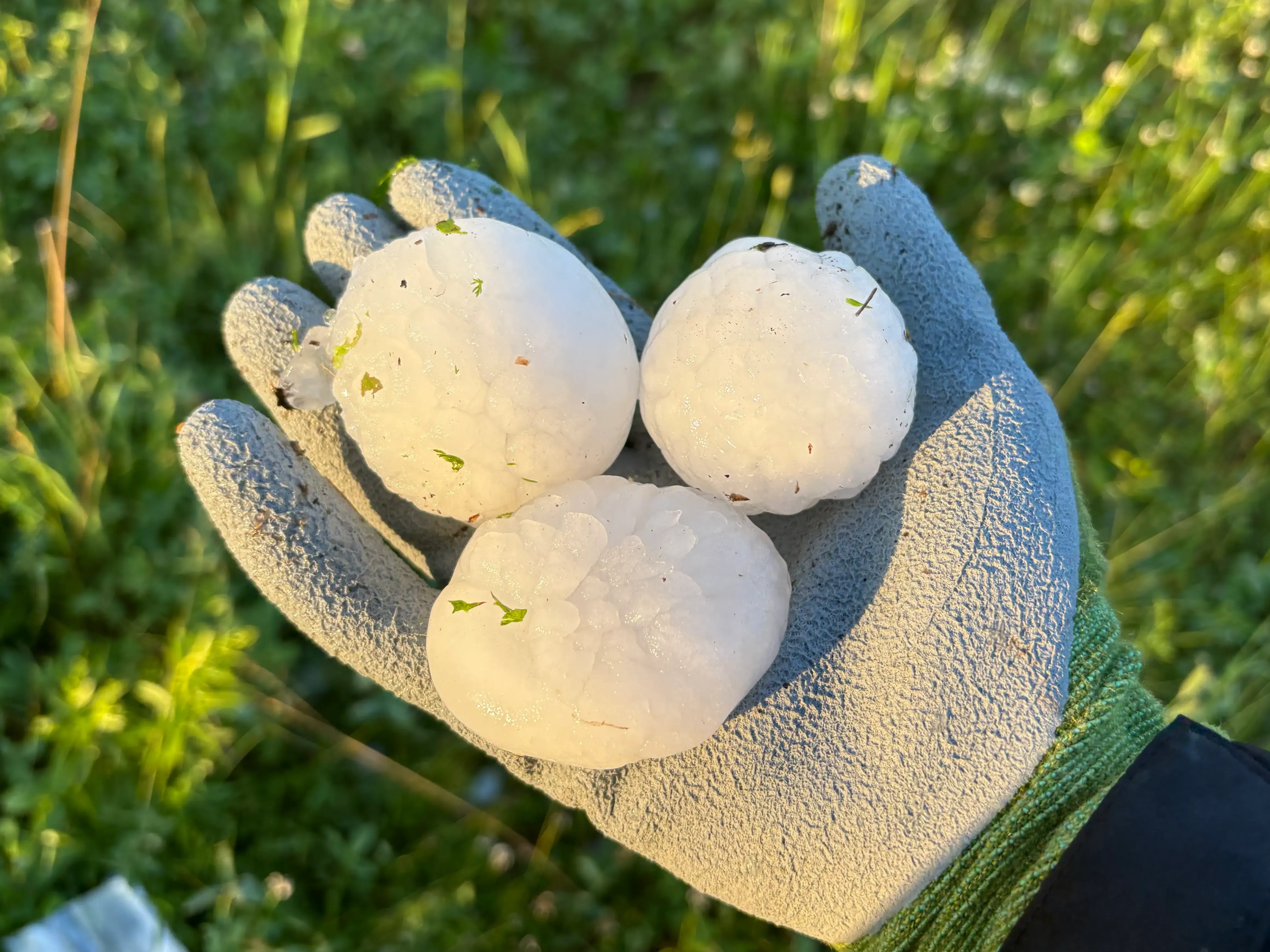 Large hailstone held in a hand